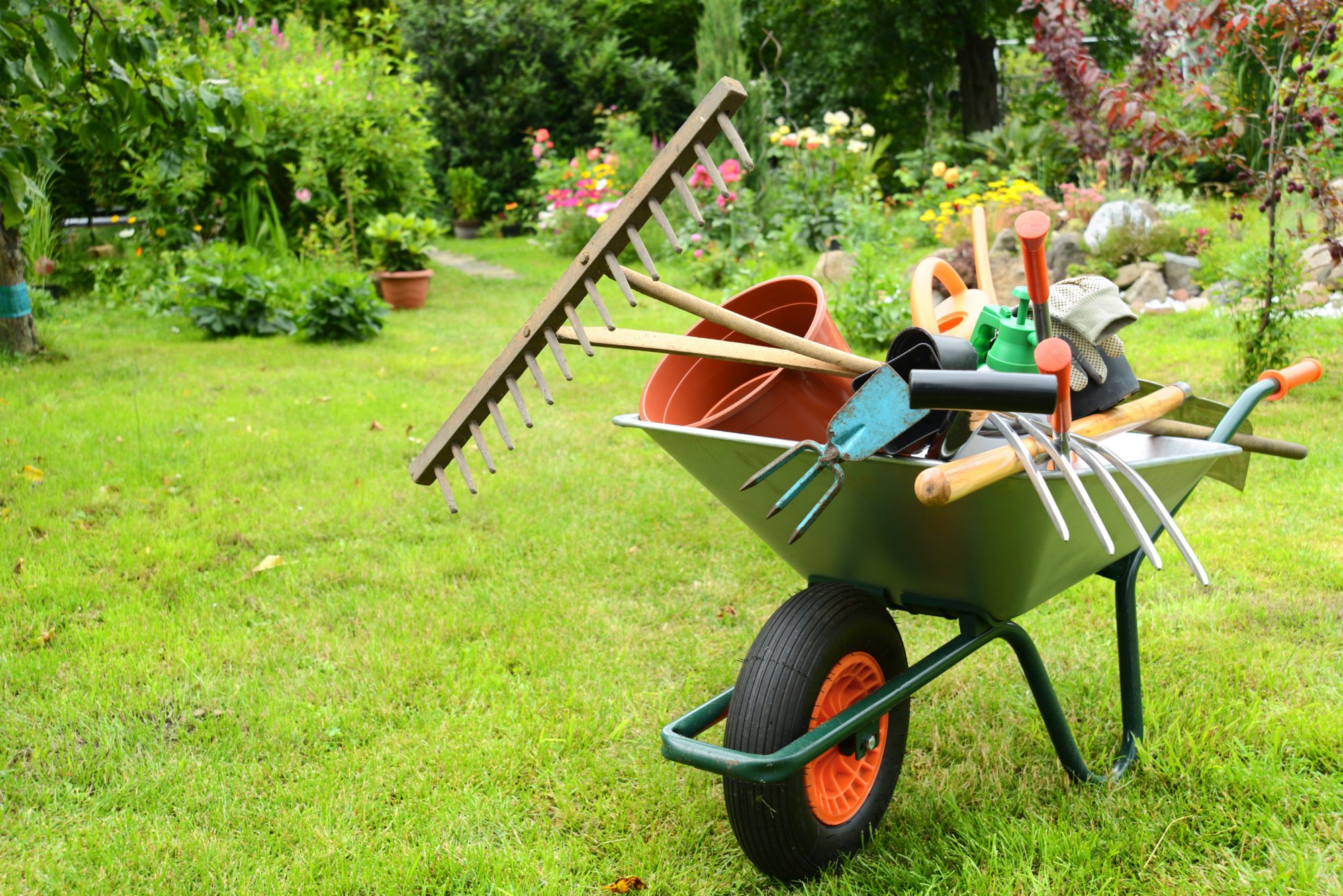 home maintenance wheel barrel in garden with tools