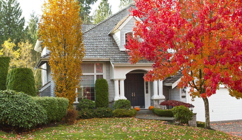 Fall Into Home Maintenance