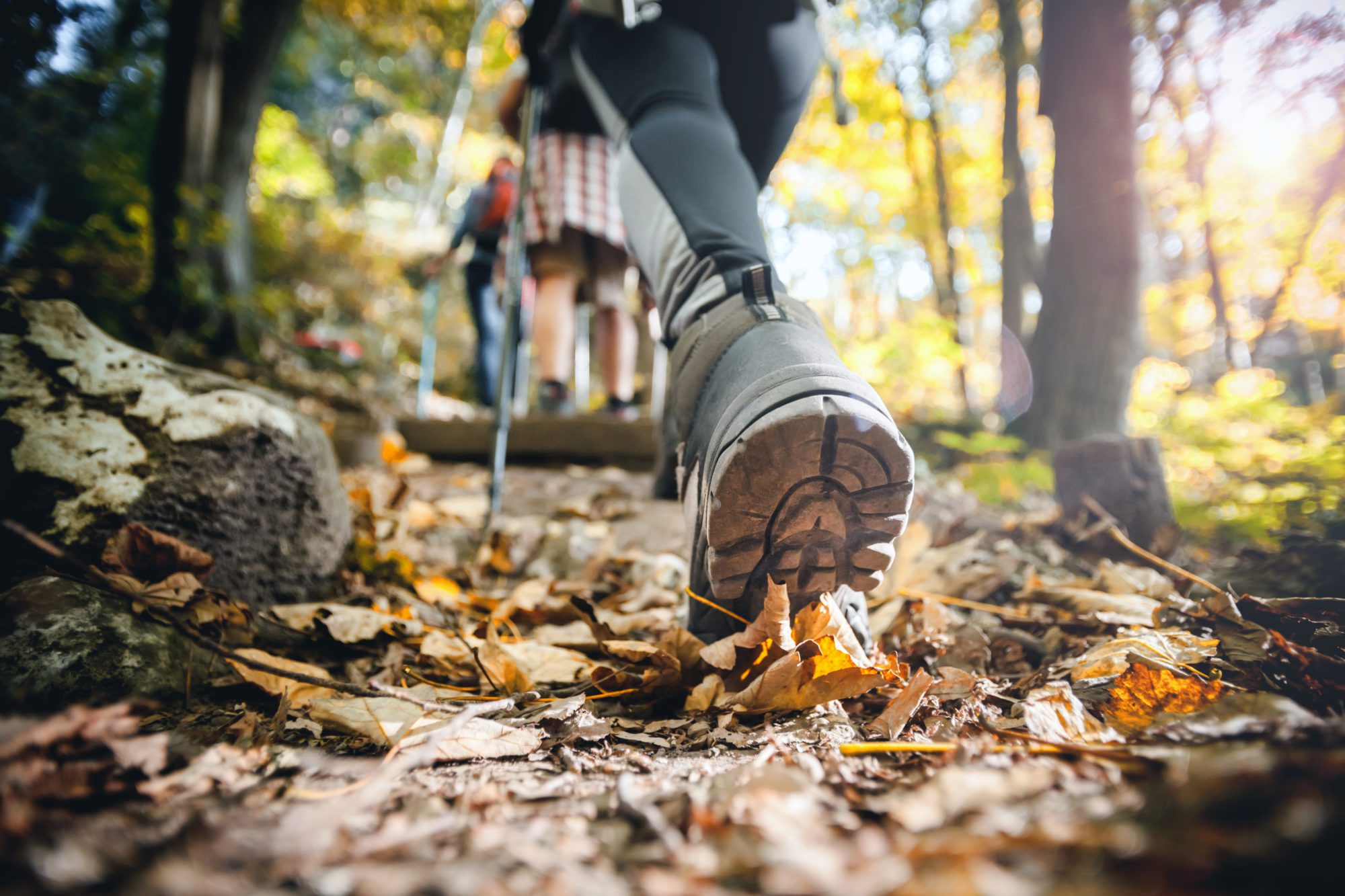 Woman Hiking Through Mountain Trail On A Sunny Day, 57% OFF